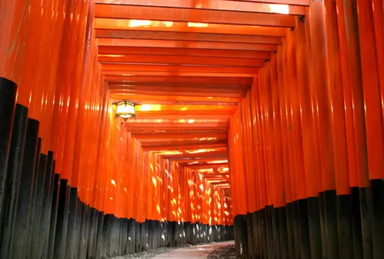 千本鳥居