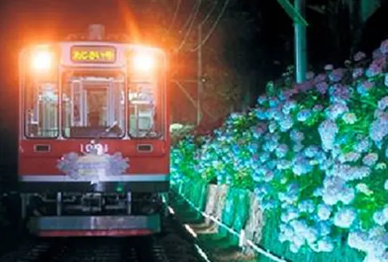 特別電車「夜のあじさい号」