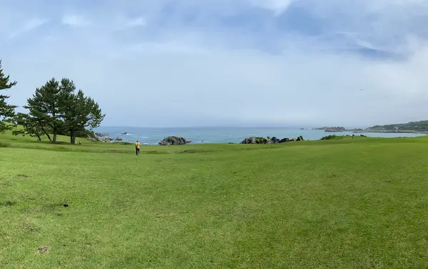 種差海岸の写真・動画_image_669820