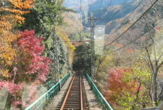 車窓からの紅葉も🍁