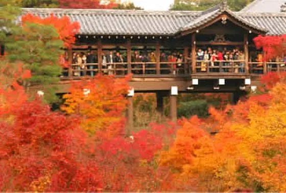 通天橋