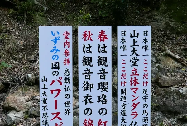 槙尾山施福寺の写真・動画_image_191379