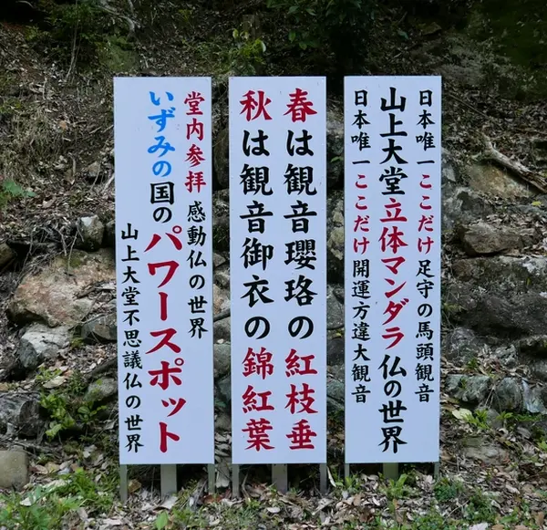 せっかくですから拝観を