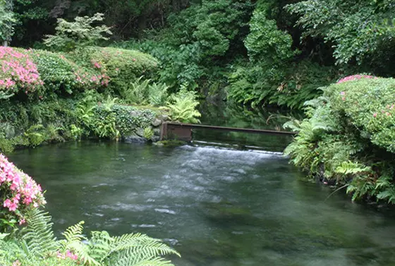 アート和紙工房「白水」
