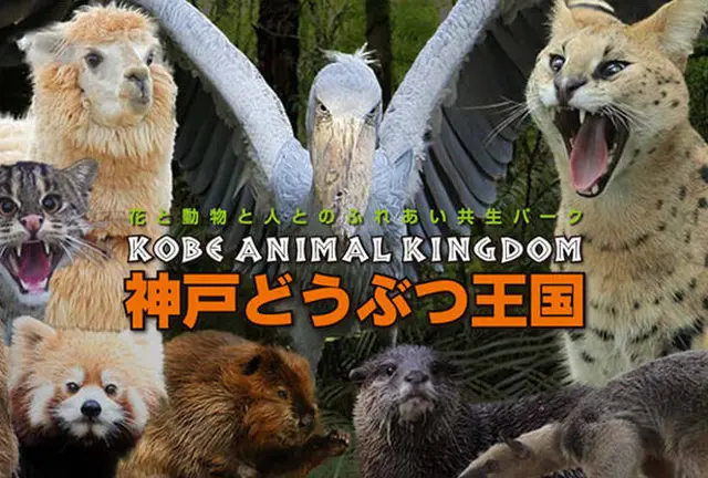 ちびっことおでかけ神戸どうぶつ王国