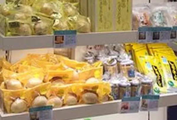広島ブランドショップ TAU