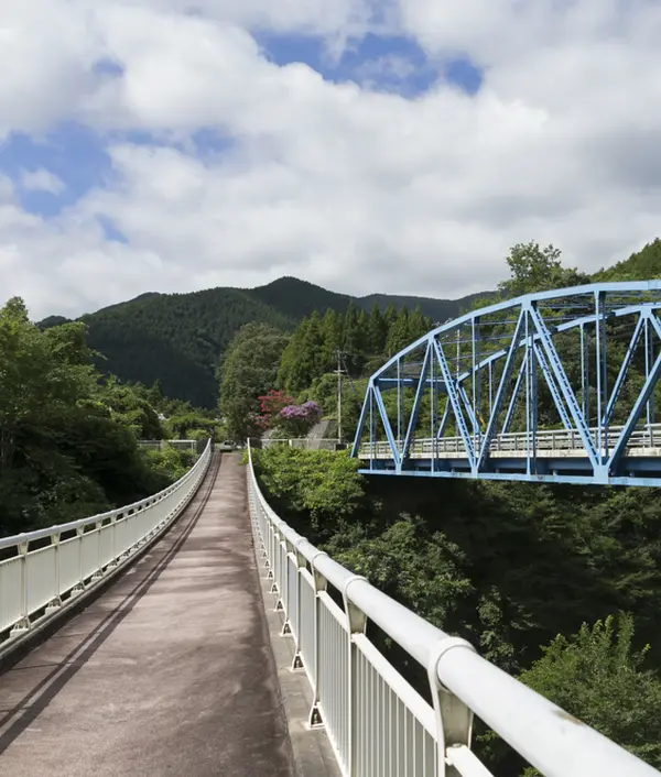 実は吊り橋！
