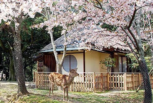 料理旅館 江戸三