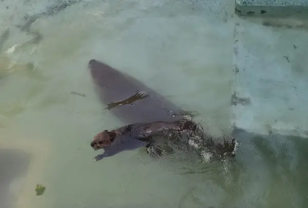 帯広動物園の写真・動画_image_437230