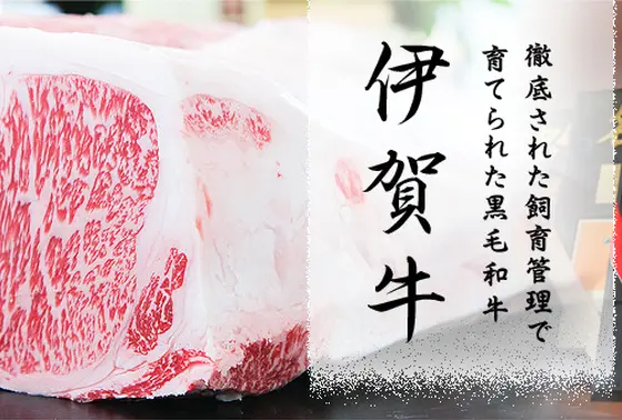 伊賀牛