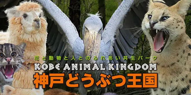 ちびっことおでかけ神戸どうぶつ王国