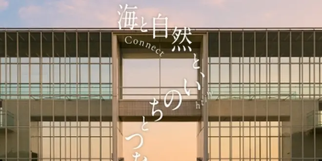 花と光のムーブメント海と自然と、いのちとつながる。―Connect with Everything―