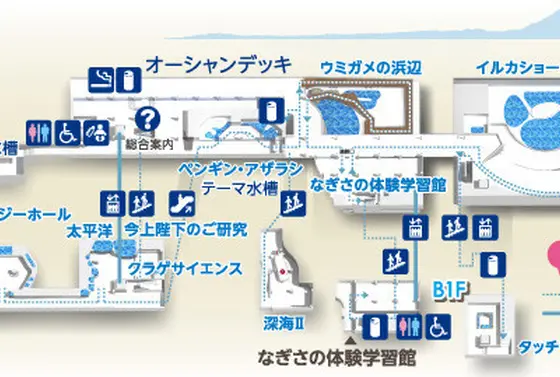専用マップ