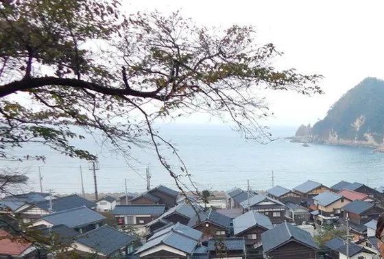 橋から眺める日本海