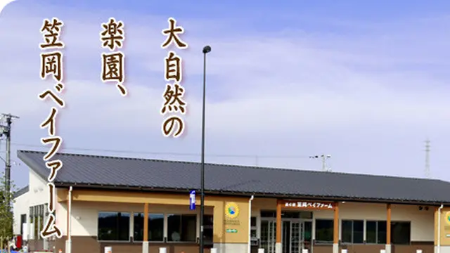 笠岡の花巡りスポット♪