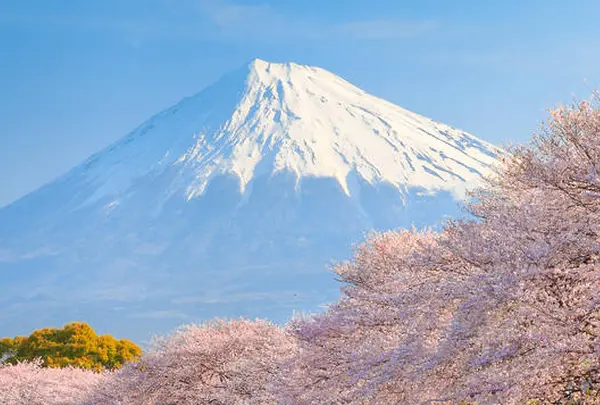 富士山