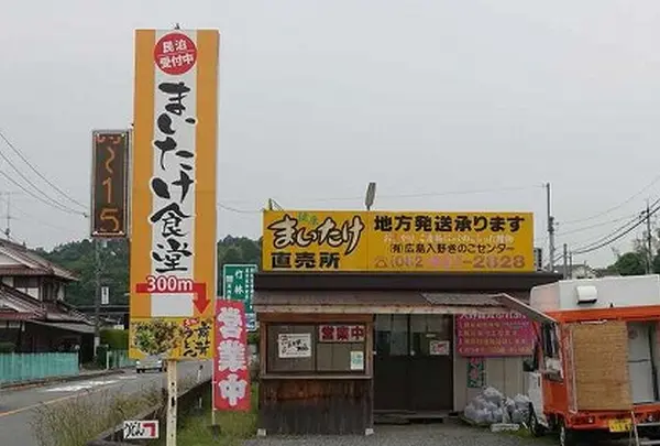 まいたけ食堂