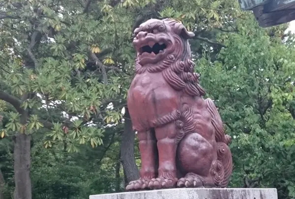 白山公園の写真・動画_image_41083