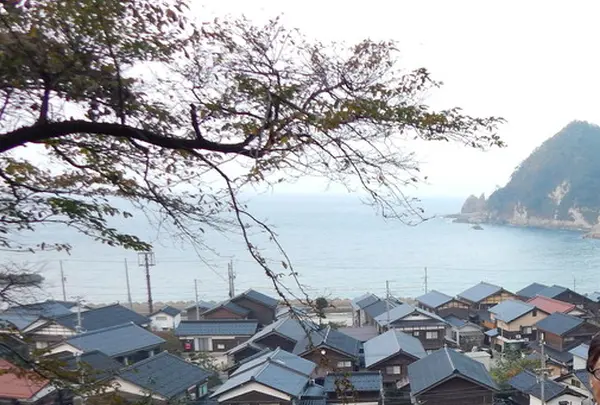 橋から眺める日本海