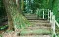 養生館はるのひかりの写真_100010