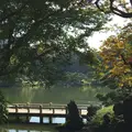 清澄庭園の写真_100078
