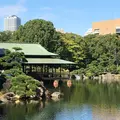 清澄庭園の写真_100081