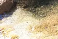 吹割の滝の写真_100299
