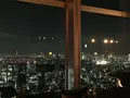 New York Grill（ニューヨーク グリル）の写真_100417