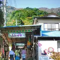 こま参道の写真_100465