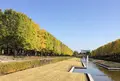 国営昭和記念公園の写真_100507