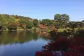 国営昭和記念公園の写真_100516
