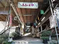 こま参道の写真_100658