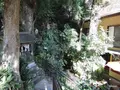 こま参道の写真_100659