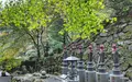 大山寺の写真_100796