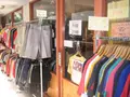 スティックアウトの写真_100896