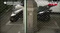 西横堀の写真_100997