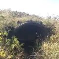 三原山の写真_101247