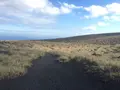 三原山ハイキングテキサスコースの写真_101250