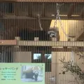 大島公園動物園の写真_101258