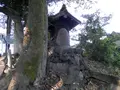 駒込富士神社の写真_101279