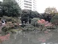 旧古河庭園の写真_101368
