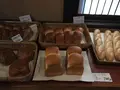 共楽園・林檎の樹の写真_101514