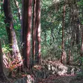 新田塚の写真_101522