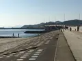 潮干狩り（形原海岸）の写真_101527