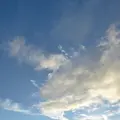 大観峰の写真_101539