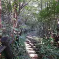 冠ケ岳の写真_101606