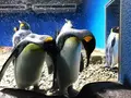 南知多ビーチランドの写真_101777