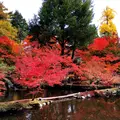 曽木公園の写真_101870