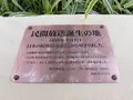 阪急うめだ本店（阪急百貨店）の写真_101942