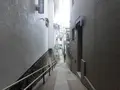 田島北ふれあい広場の写真_101949